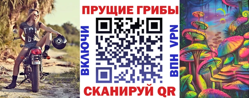 Псилоцибиновые грибы Psilocybine cubensis  Туапсе 