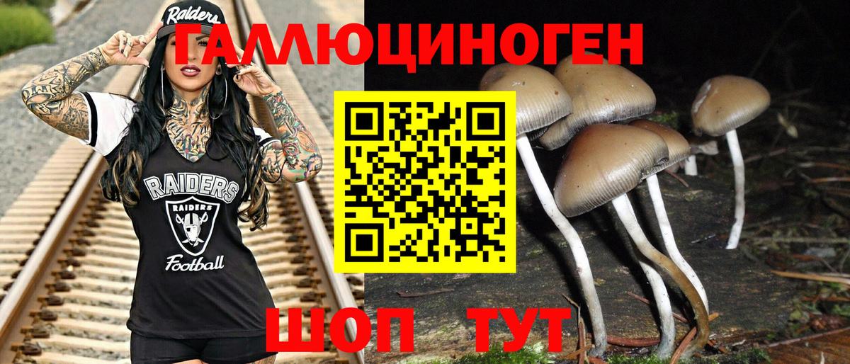 Туапсе  Псилоцибиновые грибы Cubensis  Вход с VPN 