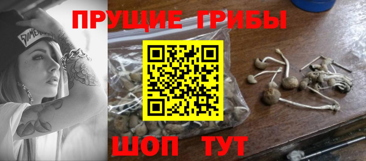 Псилоцибиновые грибы мухоморы Туапсе
